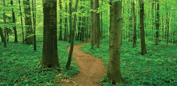 Path
